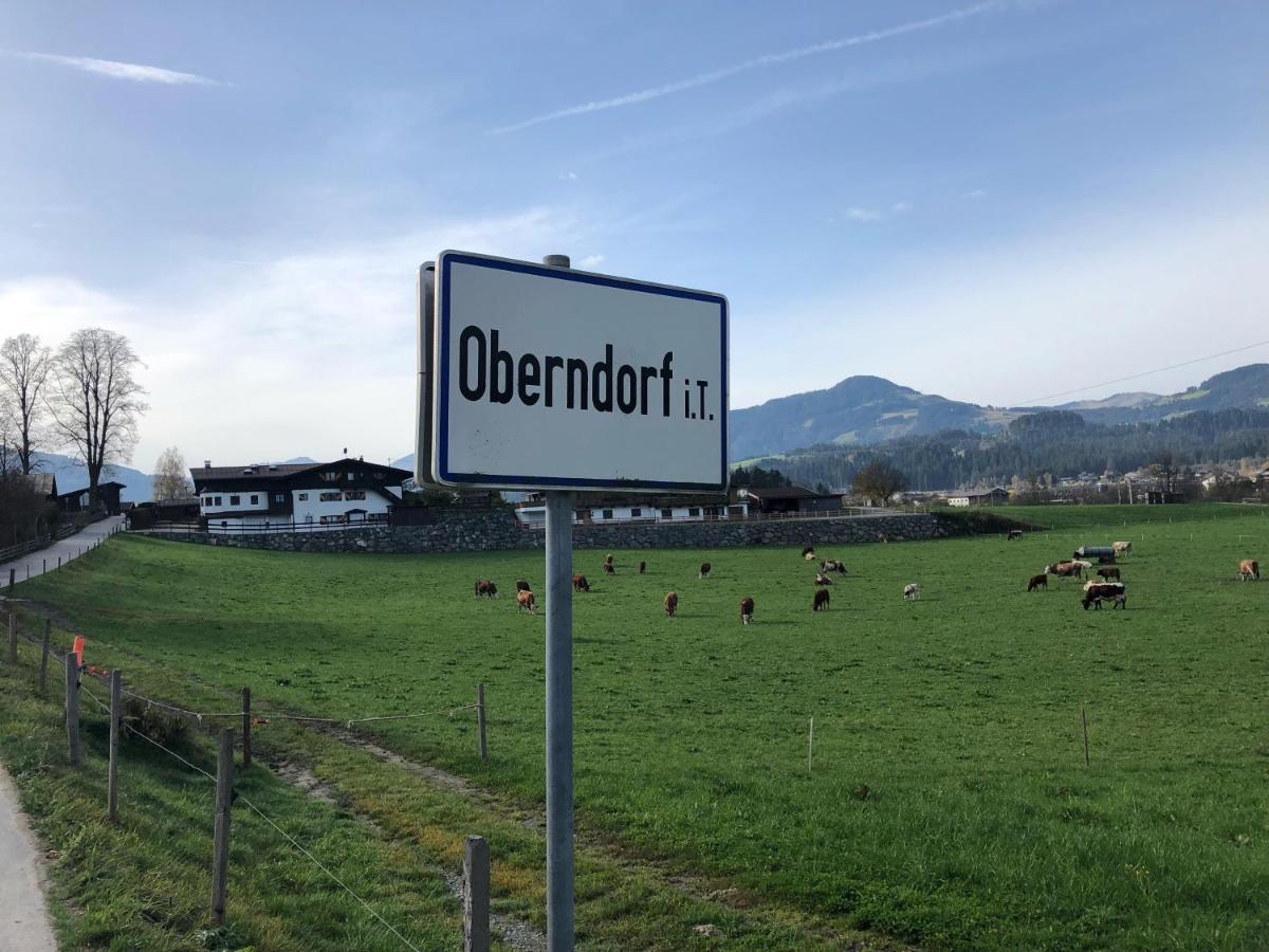 Landhaus Ammer Oberndorf in Tirol Dış mekan fotoğraf
